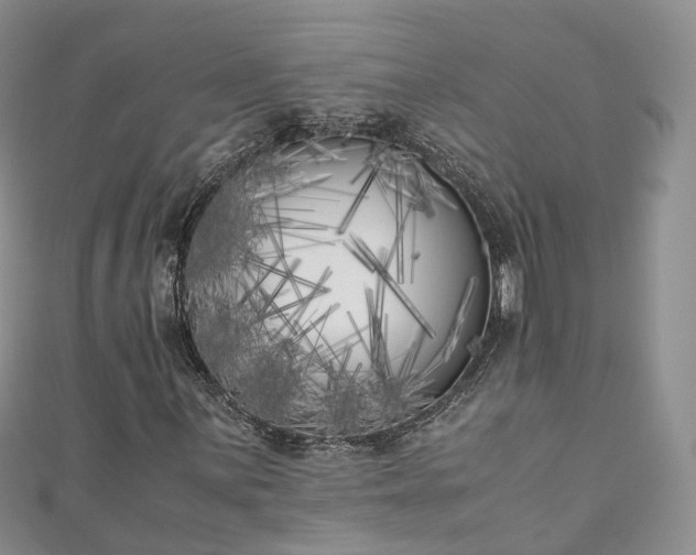 X0000111011059200906261515