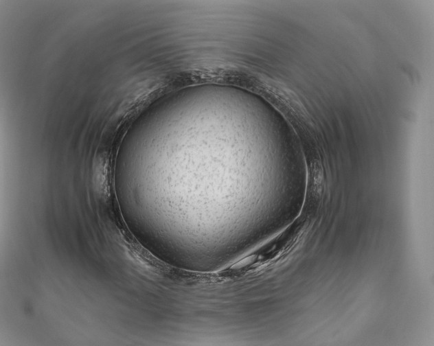 X0000111011060200906261515