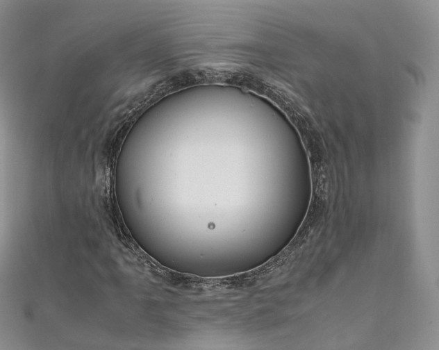 X0000111011061200906261515