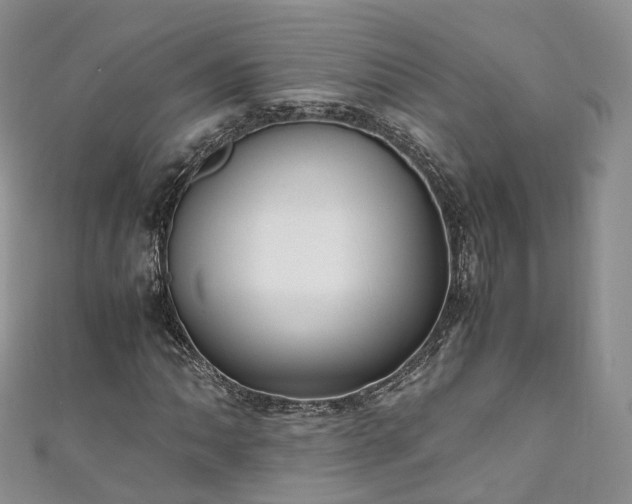 X0000111011062200906261515