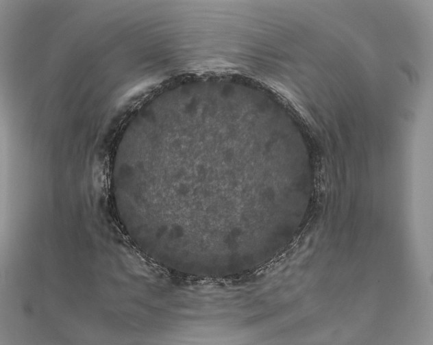 X0000111011063200906261515