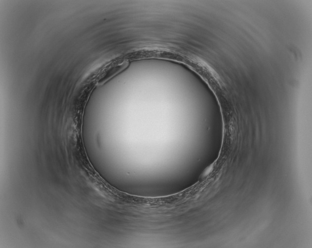 X0000111011064200906261515