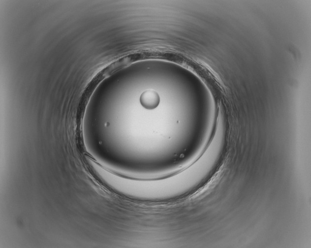 X0000111011065200906261515