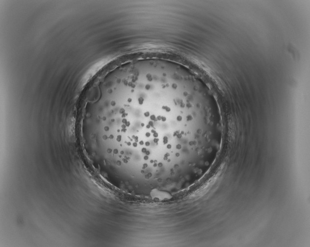 X0000111011066200906261515