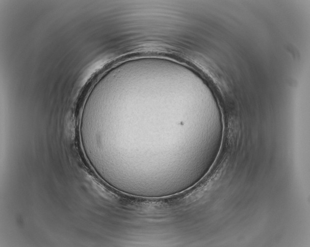 X0000111011067200906261515