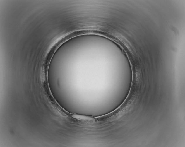 X0000111011069200906261515