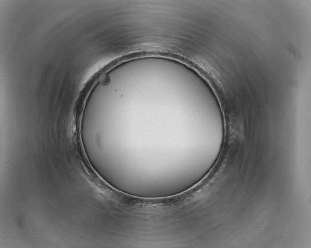 X0000111011070200906261515