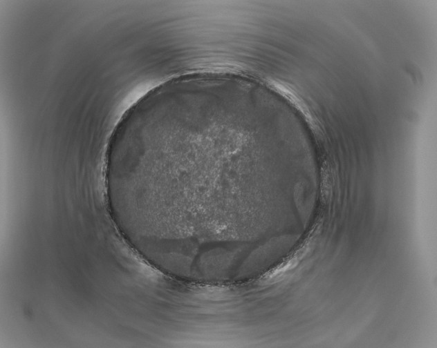 X0000111011071200906261515