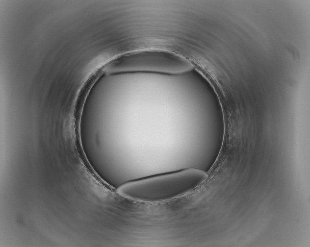 X0000111011072200906261515