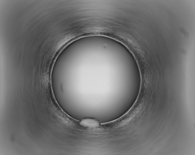 X0000111011073200906261515