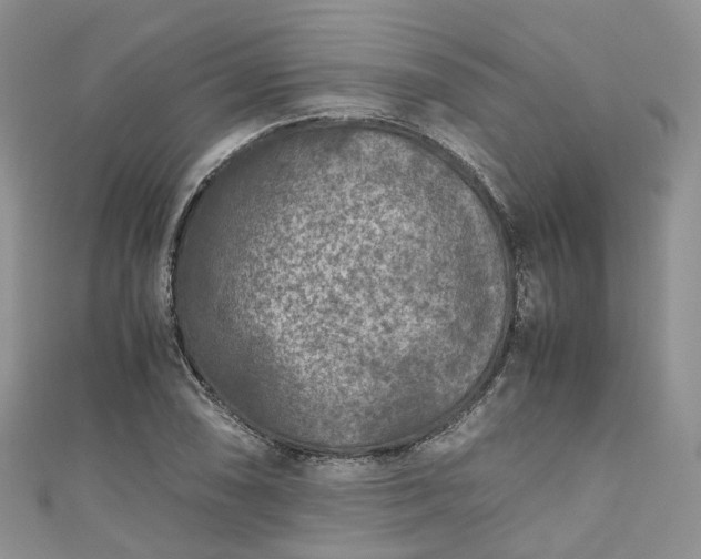 X0000111011074200906261515