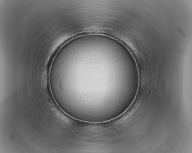 X0000111011075200906261514