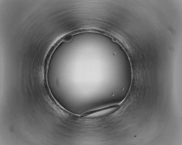 X0000111011076200906261514