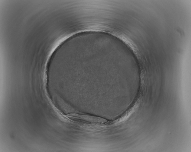 X0000111011077200906261514