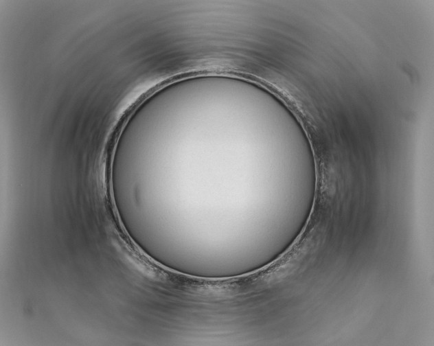 X0000111011078200906261514