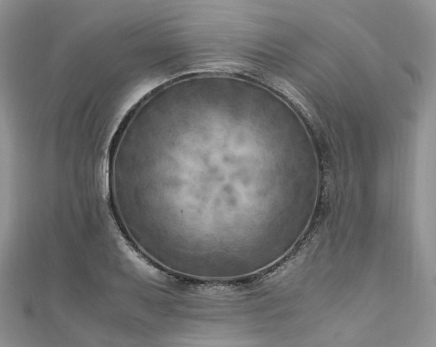X0000111011079200906261514