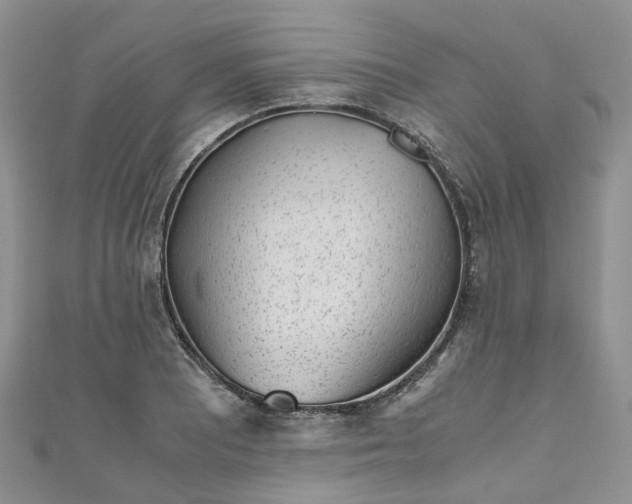 X0000111011081200906261514