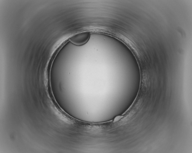 X0000111011082200906261514