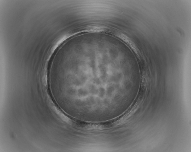 X0000111011083200906261514