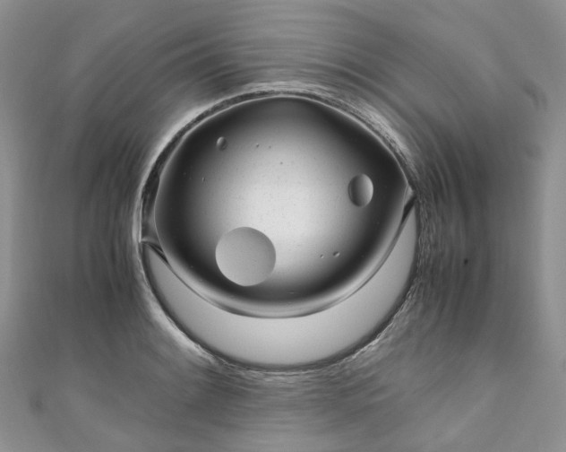 X0000111011084200906261514
