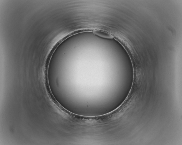 X0000111011085200906261514