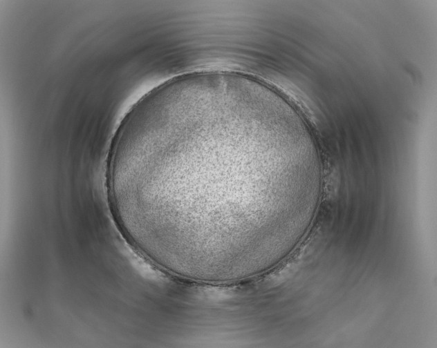 X0000111011086200906261514