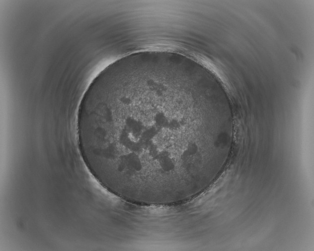 X0000111011087200906261514