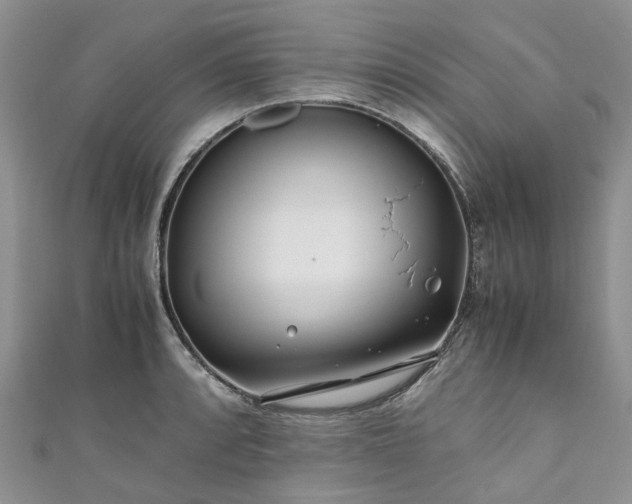 X0000111011088200906261514