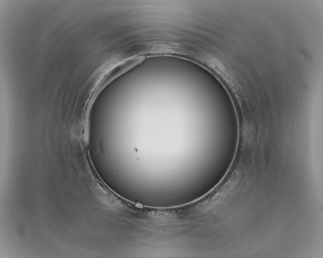X0000111011089200906261514