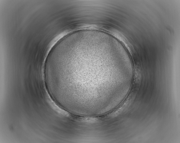 X0000111011090200906261514