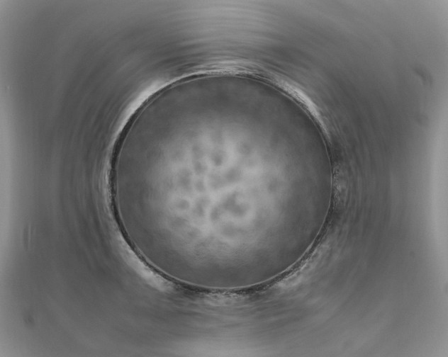 X0000111011091200906261514