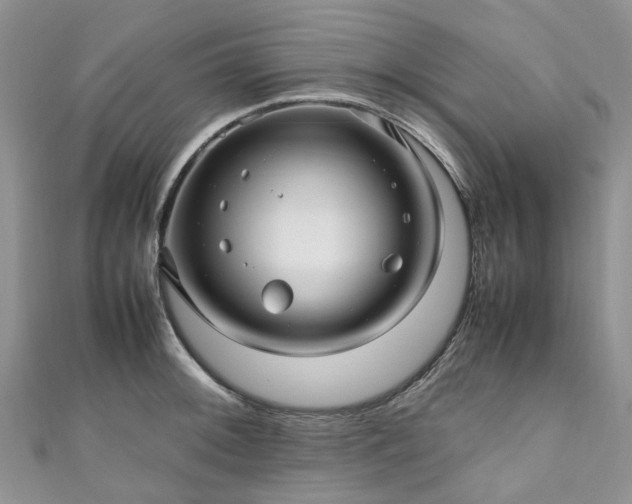 X0000111011092200906261514