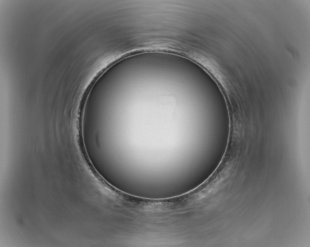 X0000111011093200906261514