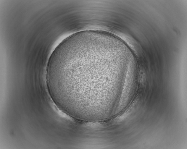 X0000111011094200906261514