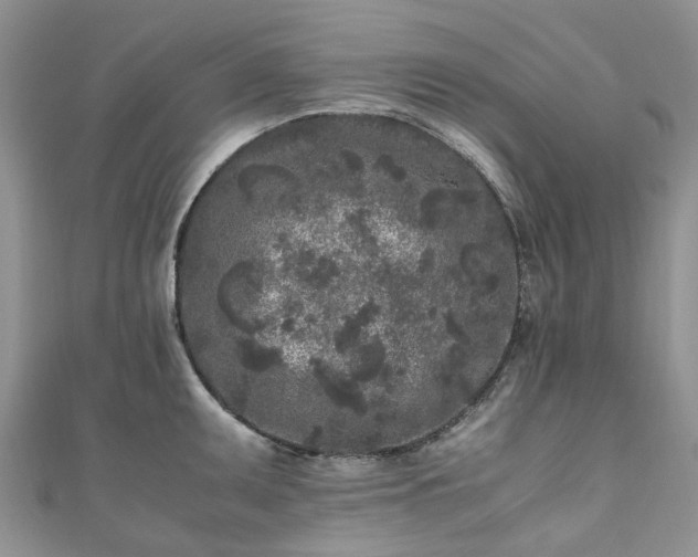 X0000111011095200906261514