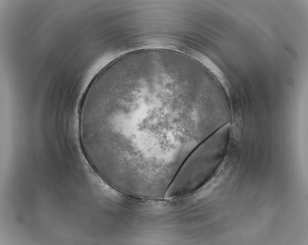 X0000111011096200906261514