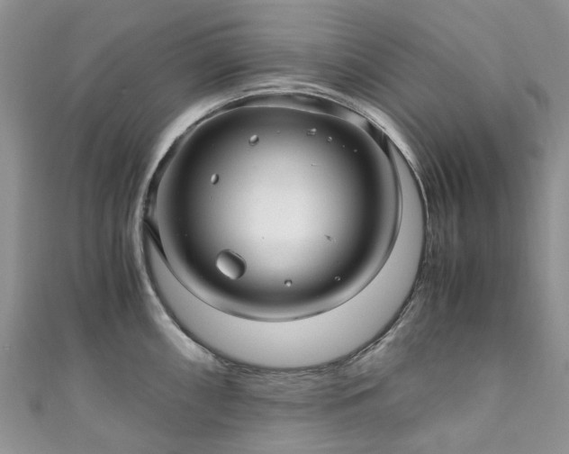 X0000111011098200906261514