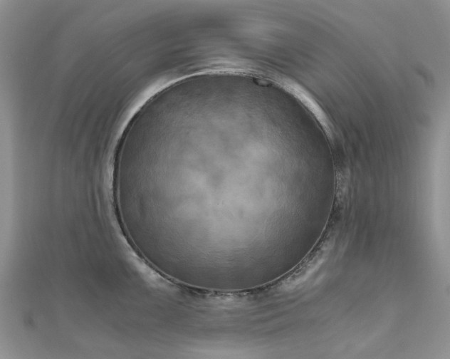 X0000111011099200906261514