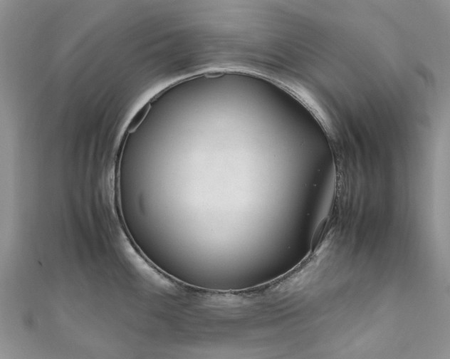 X0000111011100200906261514