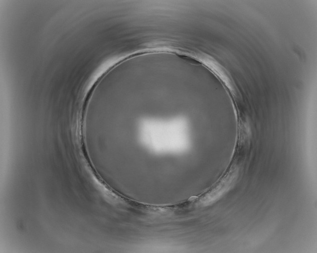 X0000111011101200906261514
