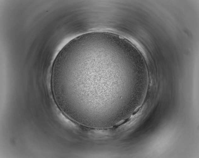 X0000111011102200906261514