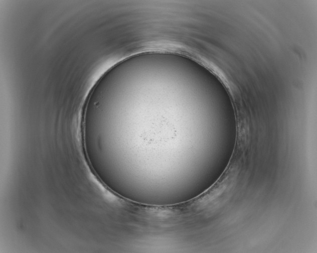 X0000111011103200906261514