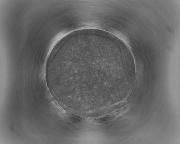 X0000111011104200906261514
