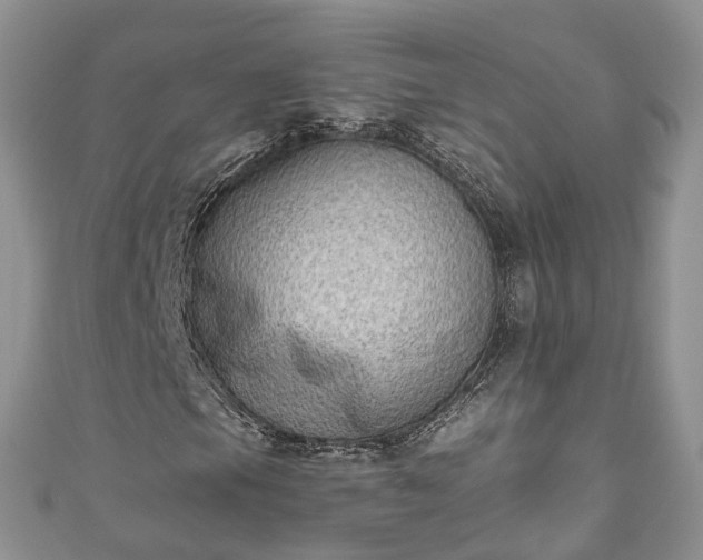 X0000111011105200906261513