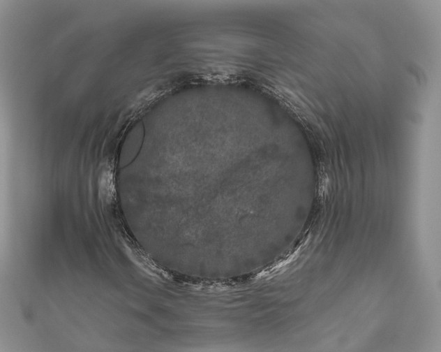 X0000111011106200906261514