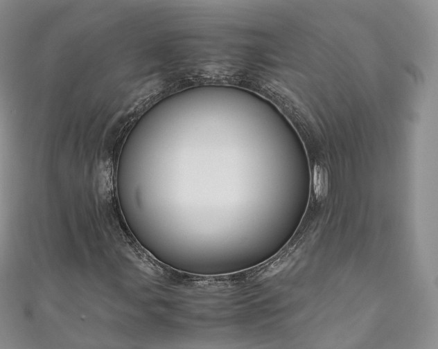 X0000111011107200906261514