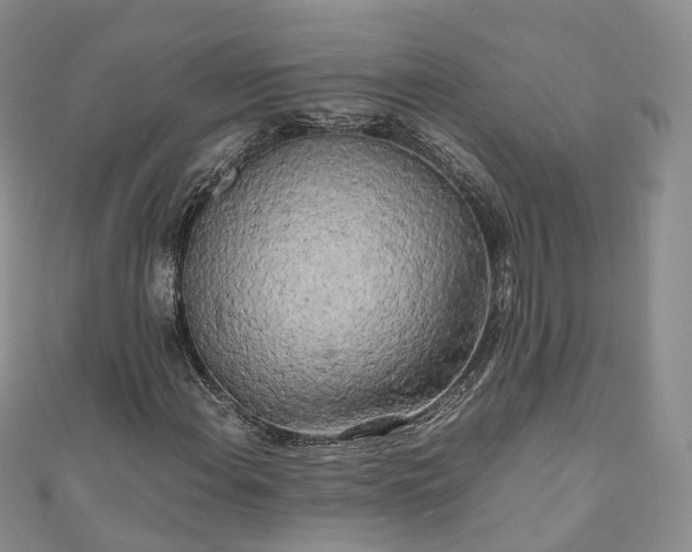 X0000111011108200906261514