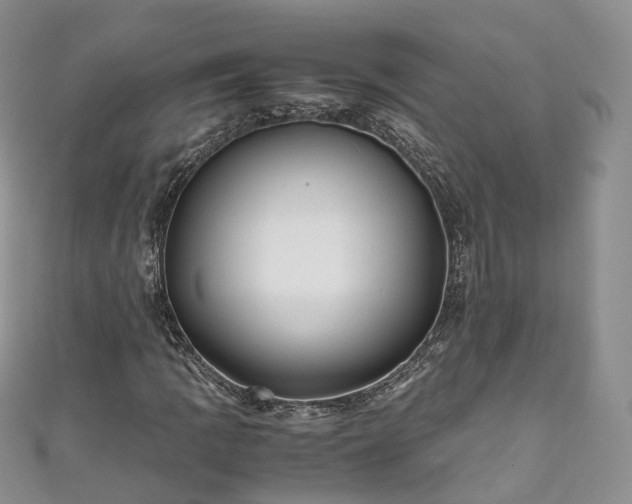 X0000111011109200906261514