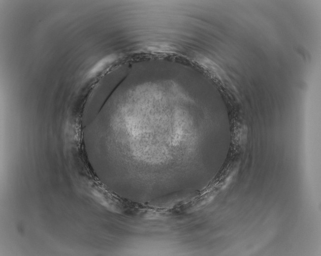 X0000111011110200906261514