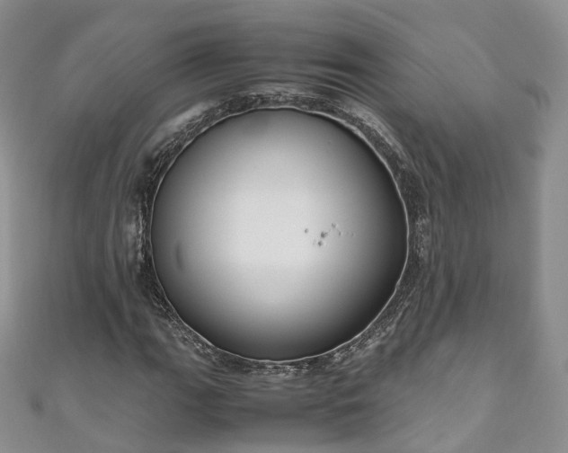 X0000111011111200906261514